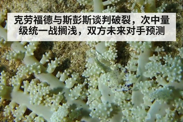 克劳福德与斯彭斯谈判破裂,次中量级统一战搁浅,双方未来对手预测