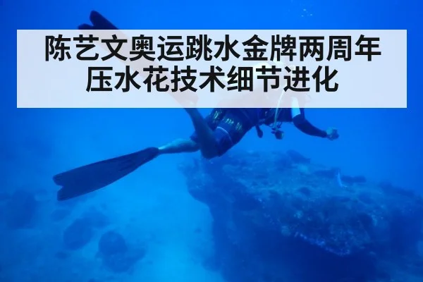 陈艺文奥运跳水金牌两周年 压水花技术细节进化